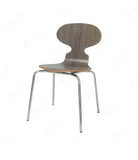 Round Ant