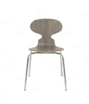 Round Ant