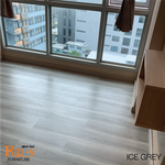 Ice Grey